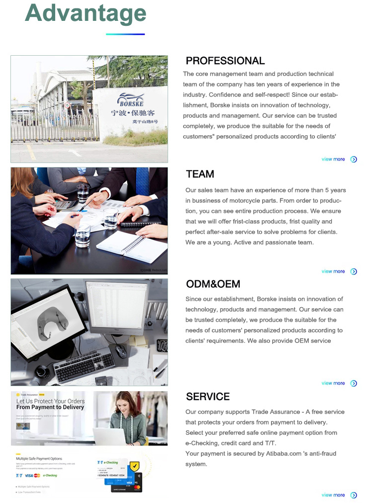 Borske motorcycle Factory Motorcycle Rear Luggage Rack Saddlebag Shelf Bracket for Yamaha SMAX 8