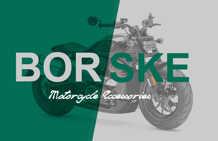 Motorcycle Parts Company Introduction--Ningbo Borske